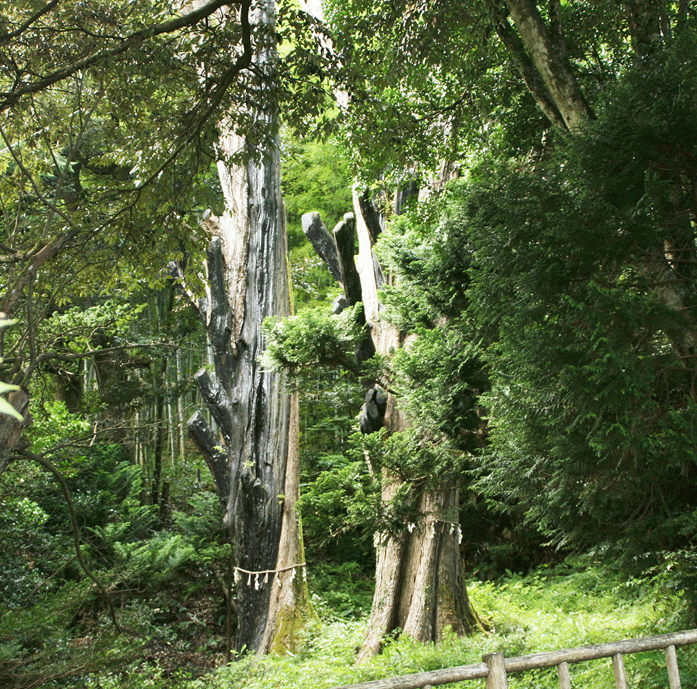 档(アテ) 档(アテ)