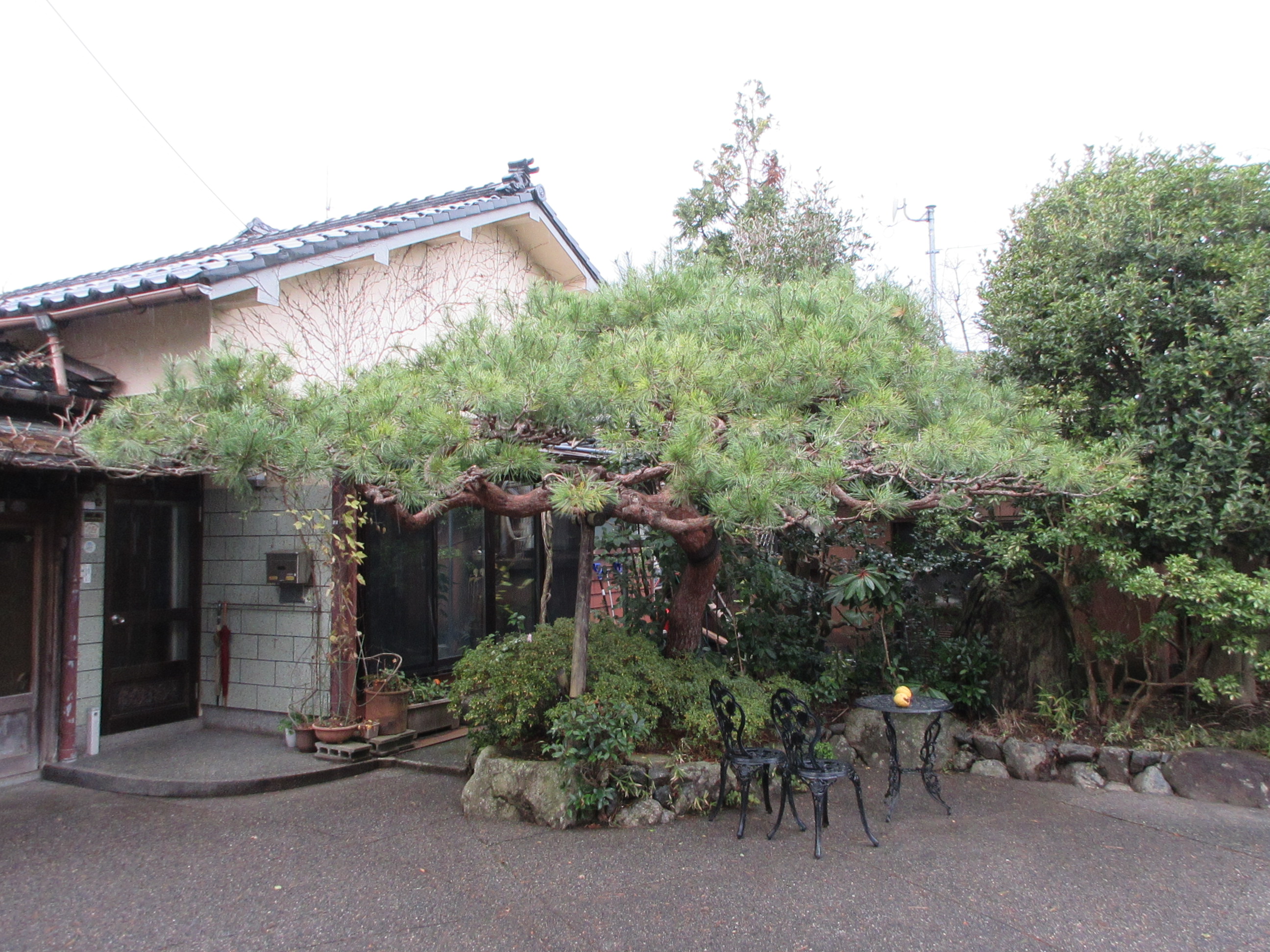 輪島市の景観重要建造物・景観重要樹木 | 輪島市