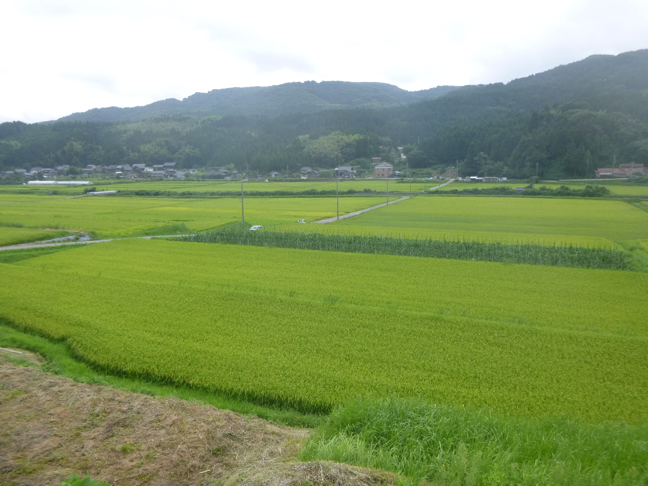 中山間＿房田